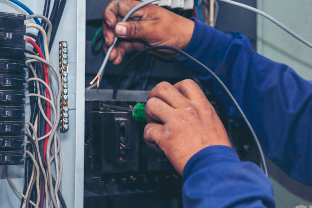 Best Electric Panel Repair  in Waunakee, WI